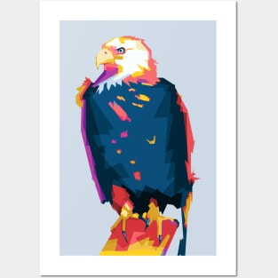 Eagle Colorful Posters and Art